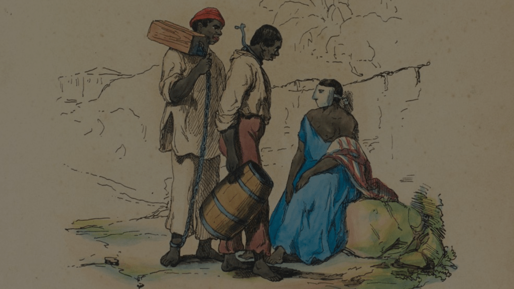 Violência brasileira